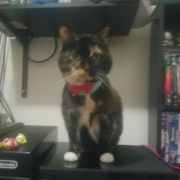 READ Before You Offer Or Buy - Picture 10 of 15